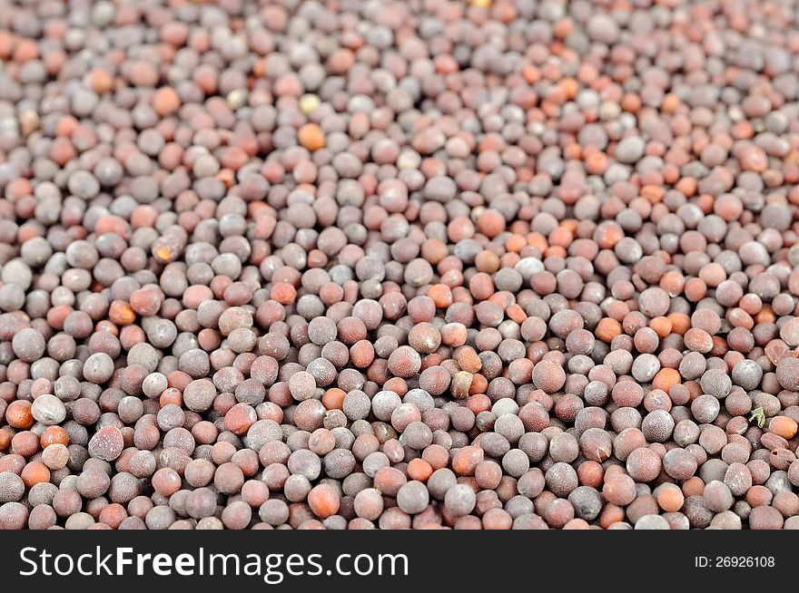 Black Mustard Seeds Close-Up