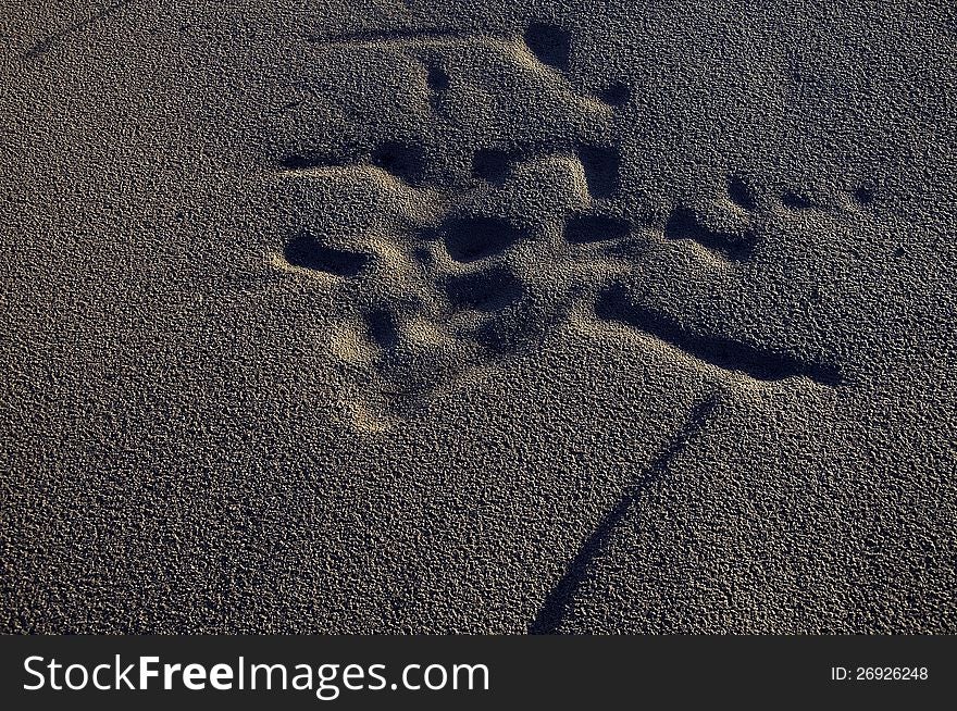 Sand with shade on rural beach in outdoor scene. Sand with shade on rural beach in outdoor scene