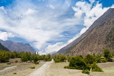Pine Forest In Annapurna Trek Stock Photos Pine Forest In Annapurna Trek Stock Photos