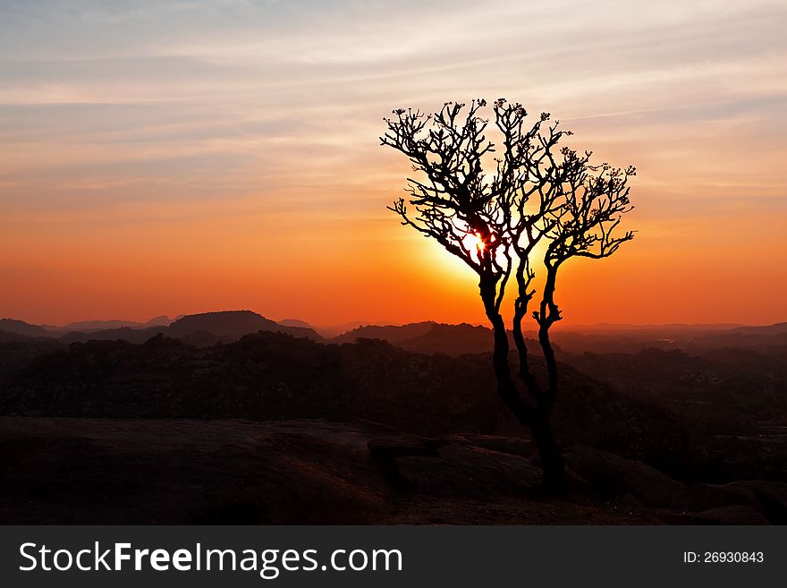 Tree in the sunset sky, Hampi, India