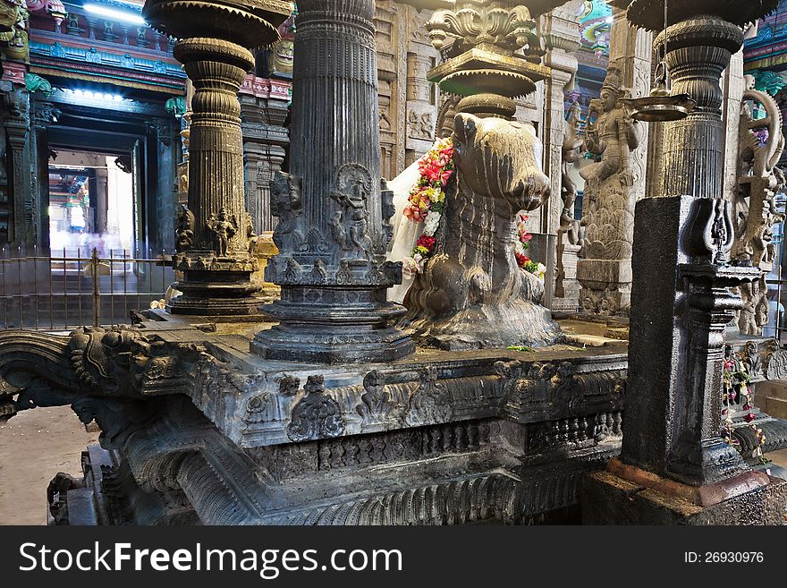 Cow inside Meenakshi Temple, Madurai, Tamil Nadu, India