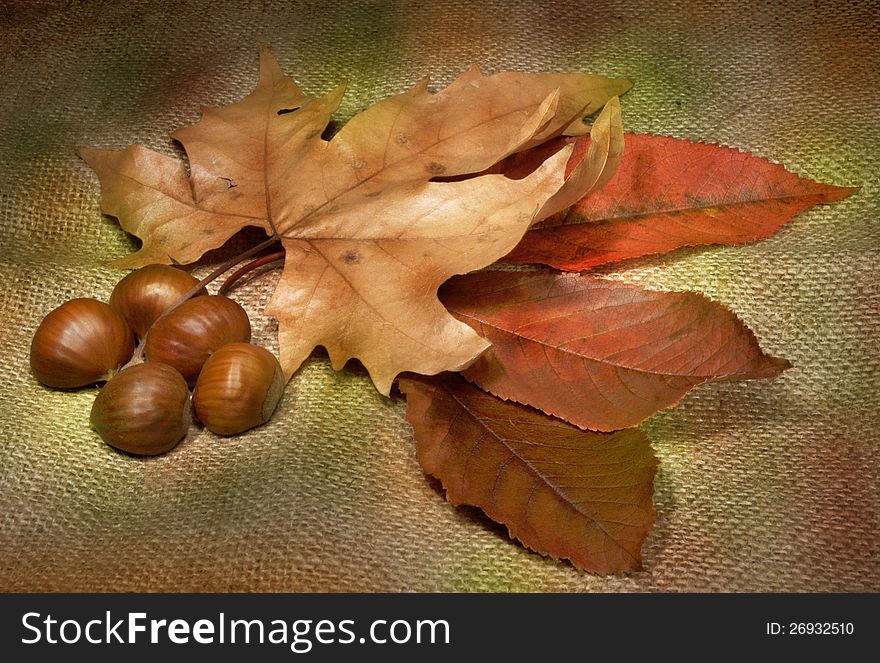Autumn leaves and chestnuts grunge wallpaper. Autumn leaves and chestnuts grunge wallpaper