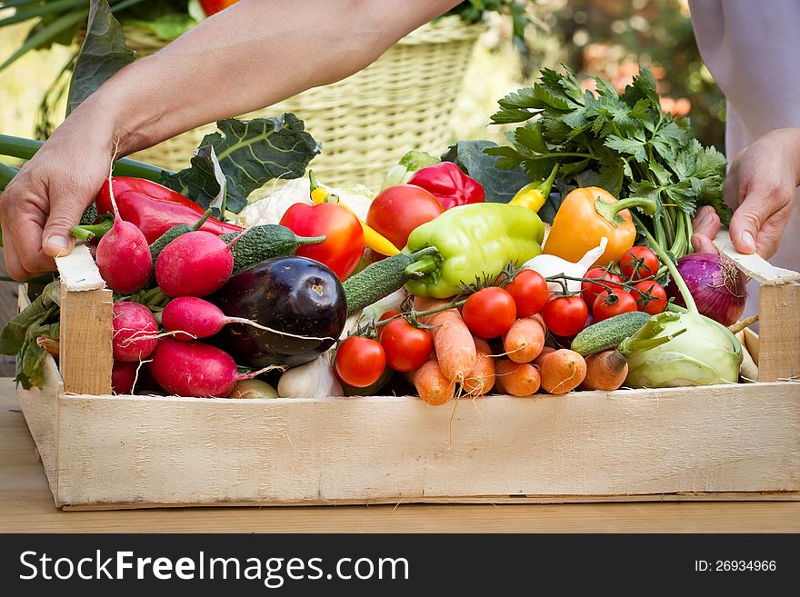 Crate is full of various organic vegetables. Crate is full of various organic vegetables