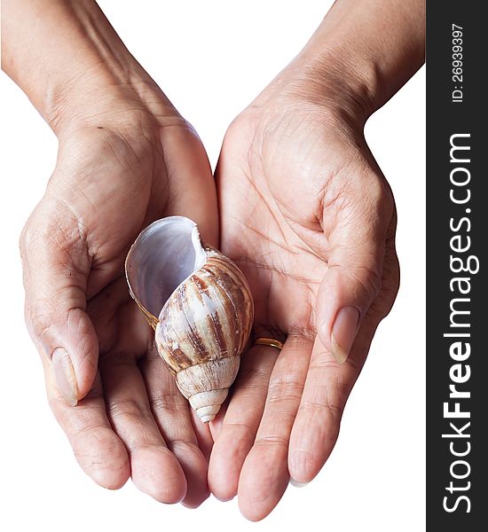 Woman's hands hold the shell on white background. Woman's hands hold the shell on white background
