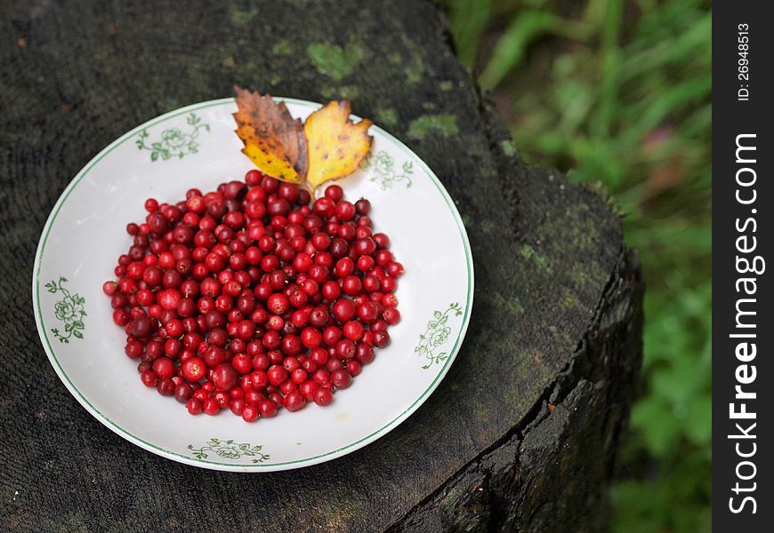 Red cranberries on a plate