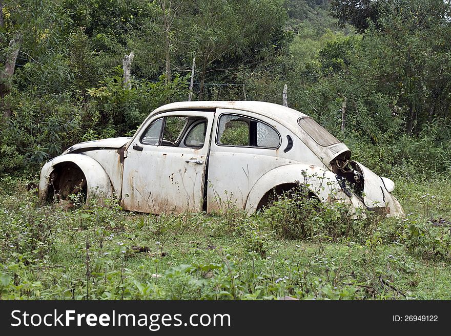Abandoned old beetle, the end of the life to the old warrior.