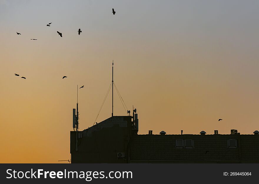 Silhouette of a city building at sunset with birds flying