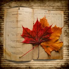 Grunge Background With A Document In 1903 Royalty Free Stock Photos Grunge Background With A Document In 1903 Royalty Free Stock Photos