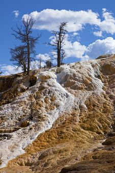 Mammoth Hot Springs Thermal Flow Royalty Free Stock Images