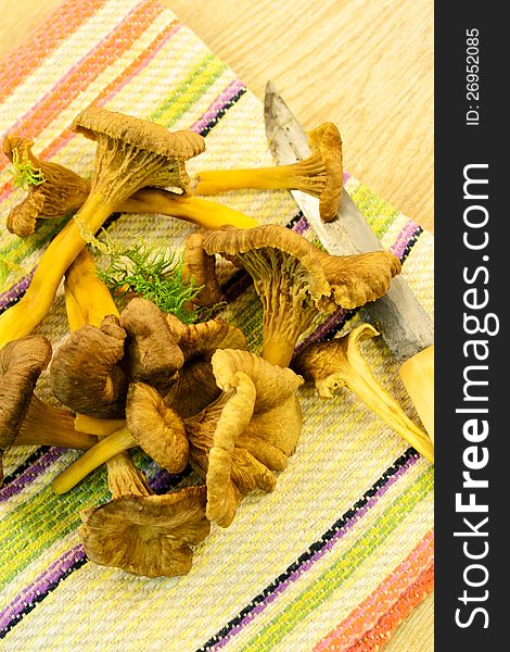 Tasty chanterelle on the kitchen table with towel and knife. Tasty chanterelle on the kitchen table with towel and knife