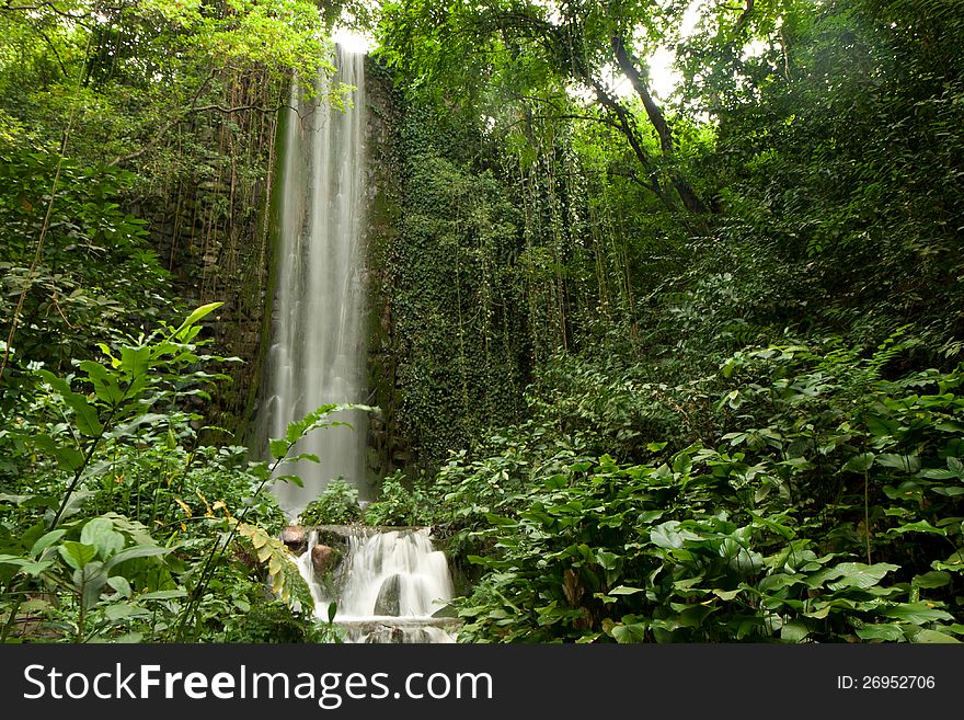 Big waterfall in a forest