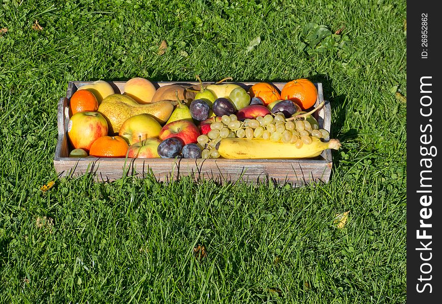 Fruit Mixed, Fruit salad nature Banana bananas pear Peargrapes Apple plums plum grown plant