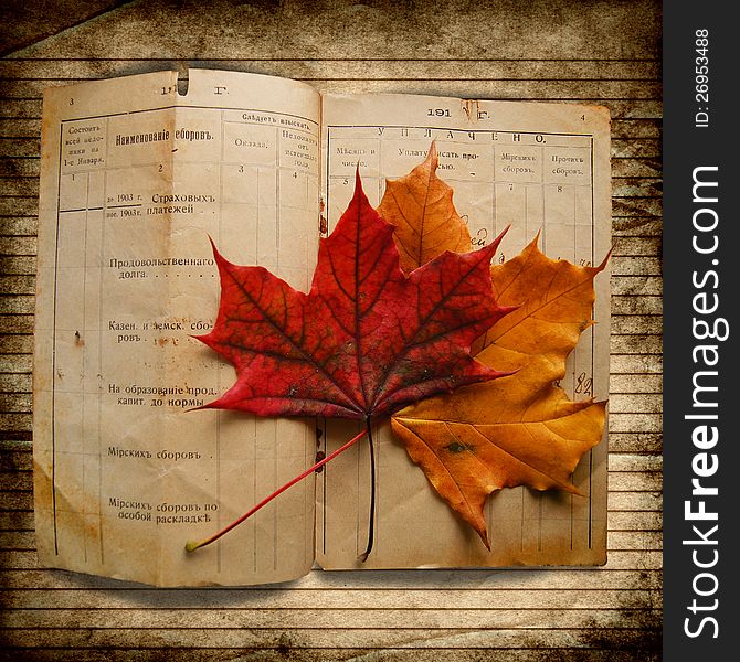 Grunge background with a document in 1903 with leaves