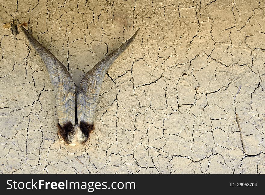 Goat horns on wall of old house