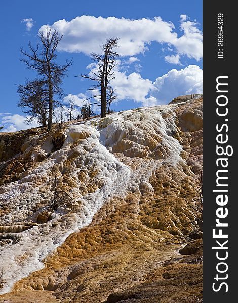 Hot sulphur mineral flow shows brilliant colors reflecting in the sunlight at Mammoth Yellowstone National Park Wyoming. Hot sulphur mineral flow shows brilliant colors reflecting in the sunlight at Mammoth Yellowstone National Park Wyoming.