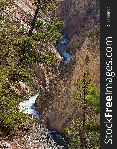 The Grand Canyon of the Yellowstone River has magnificent splendor and color due to the mineral flows. The Grand Canyon of the Yellowstone River has magnificent splendor and color due to the mineral flows.