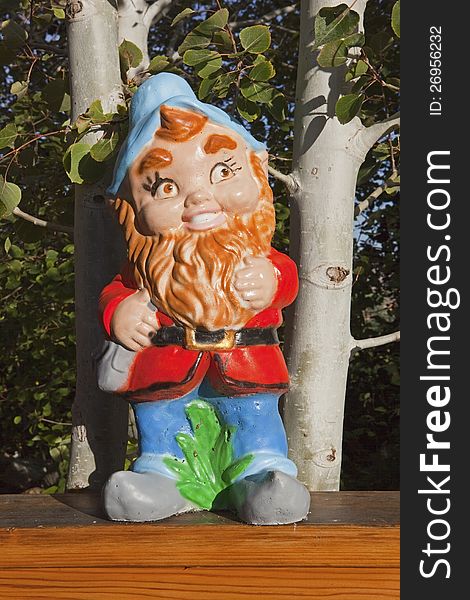 Gnome In Aspen Trees