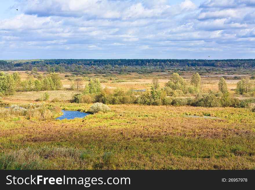 Landscape with forest and sky. Landscape with forest and sky