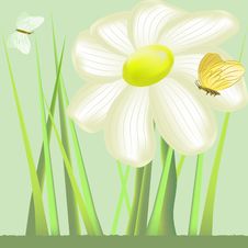 Selection Stock Images Selection Stock Images