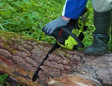Chainsaw In Work Stock Images Chainsaw In Work Stock Images