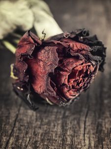 Dry Red Rose On An Old Wooden Table Stock Photo