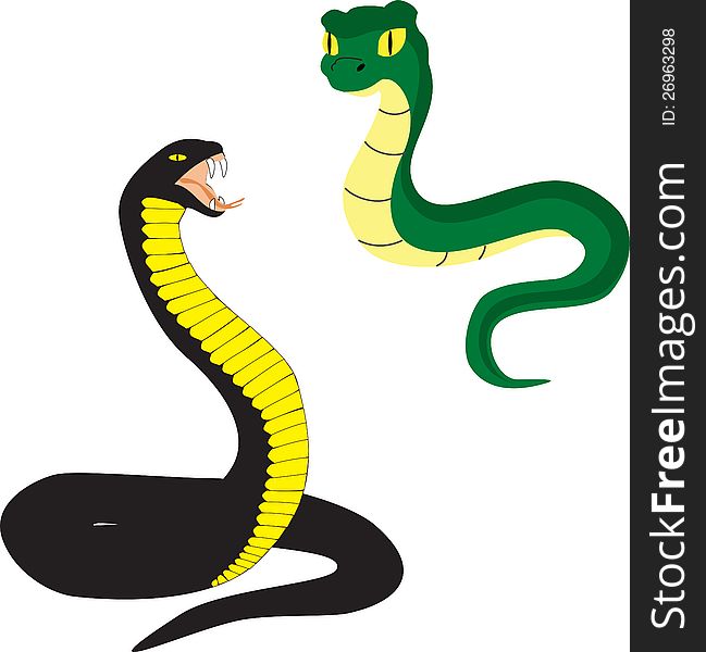 Two Cartoon Snakes Free Stock Images Photos 26963298 Stockfreeimages Com