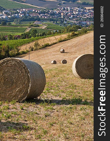 Romagna countryside with bales of hay