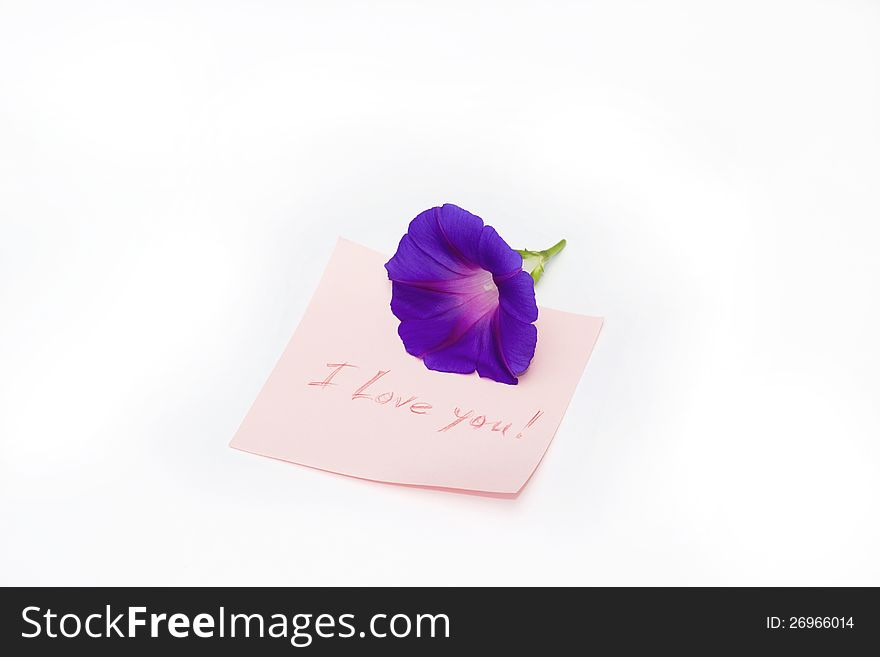 Nice image of isolated paper reminder with romantic message. Nice image of isolated paper reminder with romantic message