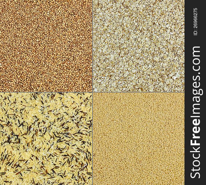Four cereal backgrounds: rice, millet, oatmill and buckwheat. Four cereal backgrounds: rice, millet, oatmill and buckwheat