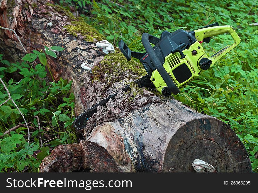 Chainsaw stuck in the old thick log. Chainsaw stuck in the old thick log