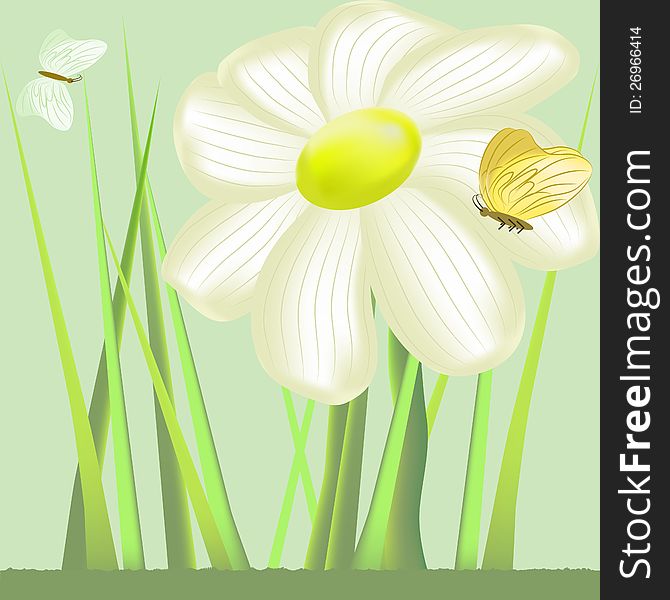 Natural vector background concept selection
