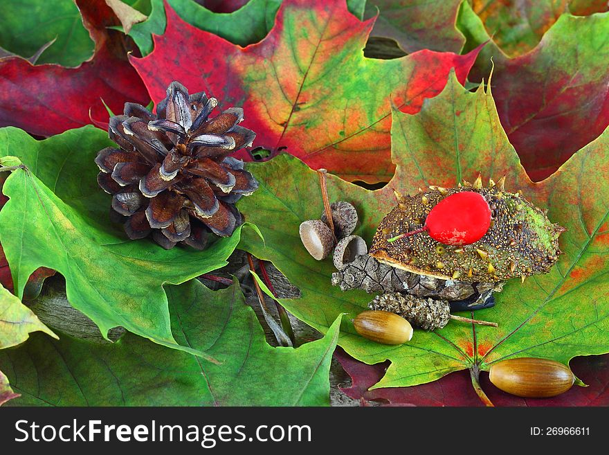 Hedgehog in the forest. Craft from chestnut's shell and pine cone with haw berry on autumn fallen maple leaves. Hedgehog in the forest. Craft from chestnut's shell and pine cone with haw berry on autumn fallen maple leaves