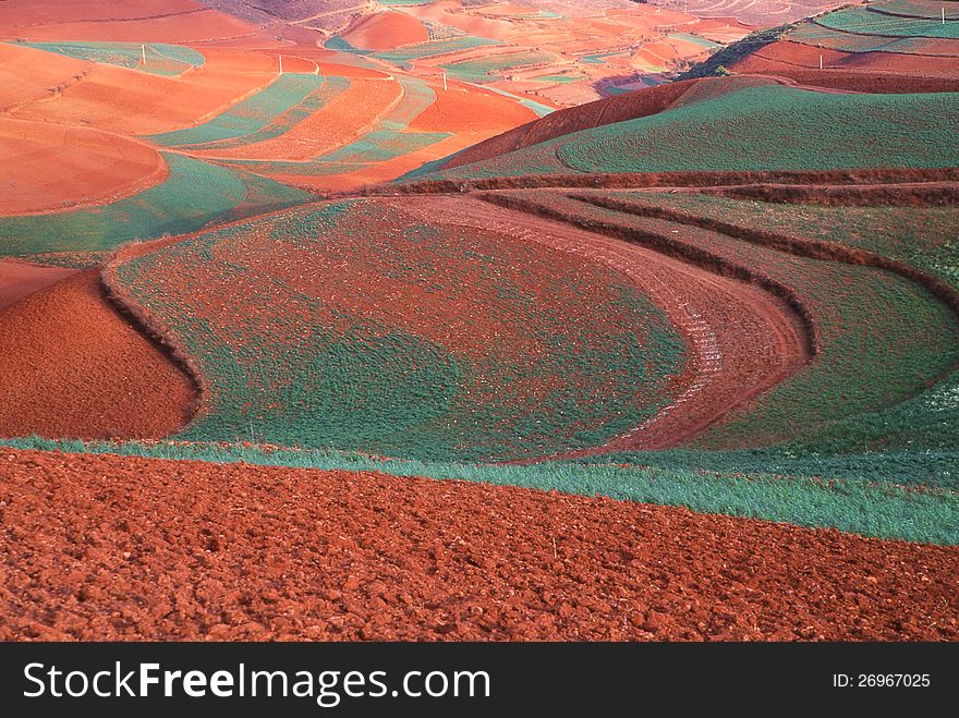 Red land in Dongchuan, Yunan, Western China. kodak 100VS, 2005.