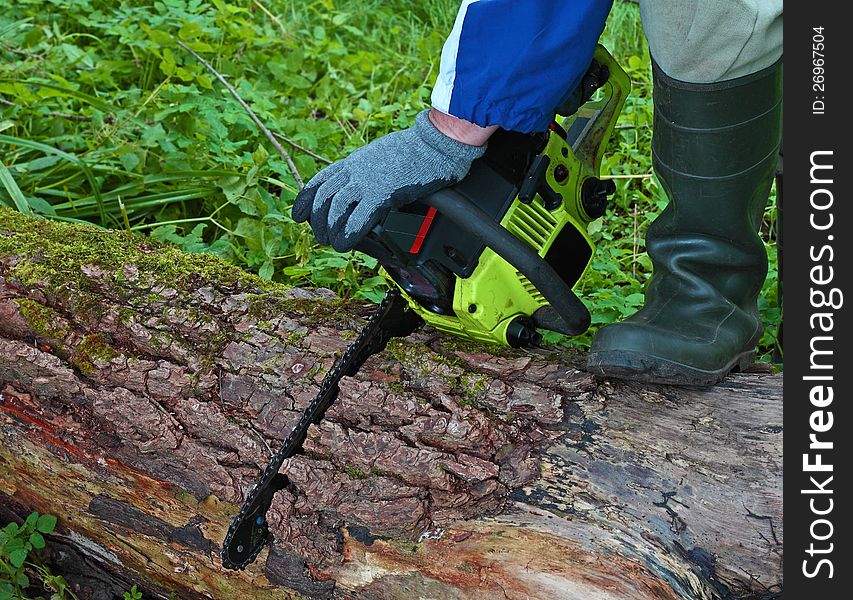 Attempt to saw log with a broken chainsaw. Chainsaw stuck in a wood. Attempt to saw log with a broken chainsaw. Chainsaw stuck in a wood