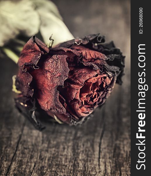 Dry Red Rose On An Old Wooden Table