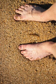 Men S Feet Are Standing On A Sandy Beach. Crystal Water On The Seashore. Stock Photo Men S Feet Are Standing On A Sandy Beach. Crystal Water On The Seashore. Stock Photo