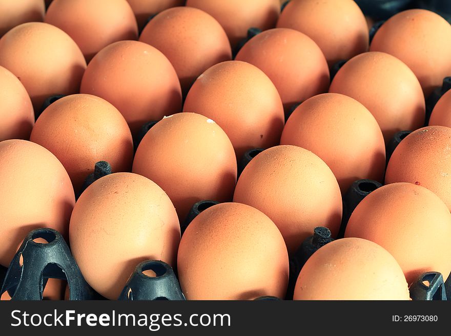 Closeup of many fresh brown eggs in carton tray