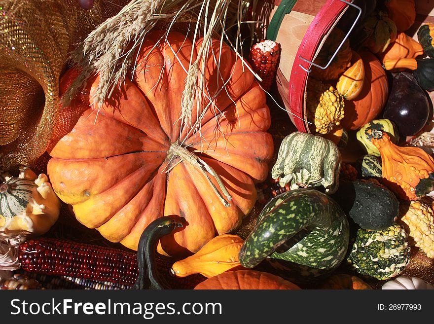 A beautiful fall display with colorful gourds and a large pumpkin. A beautiful fall display with colorful gourds and a large pumpkin.