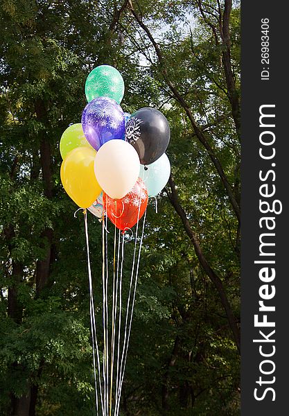 Multi colored party balloons are ready to fly away to the sky