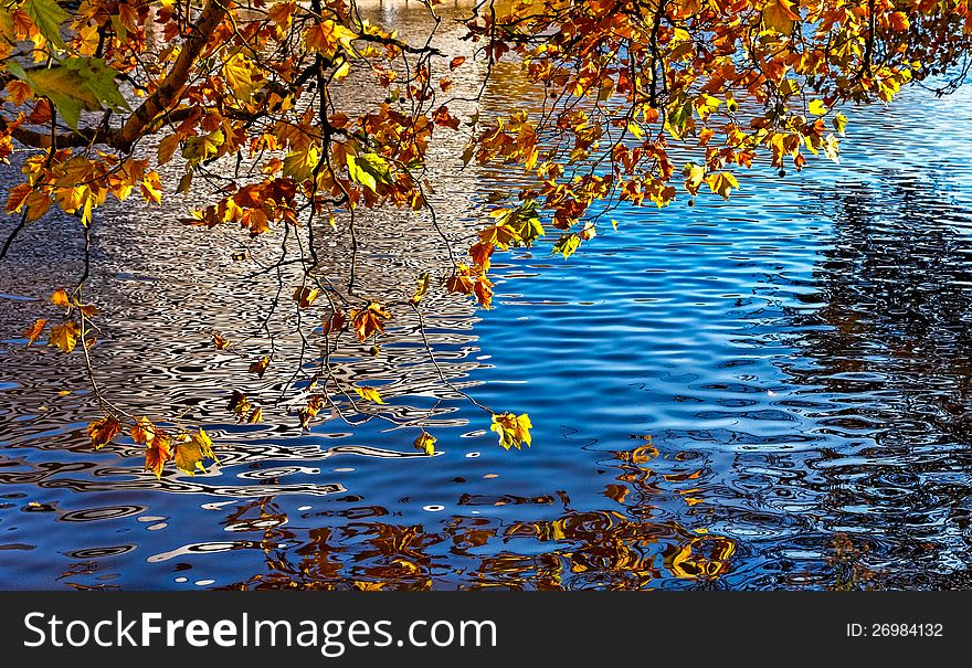 Colorful image of a canal in autumn located in Amsterdam.