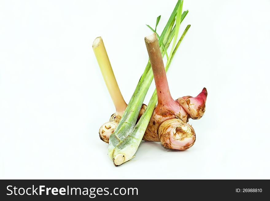 Galangal and Lemon Grass on white background