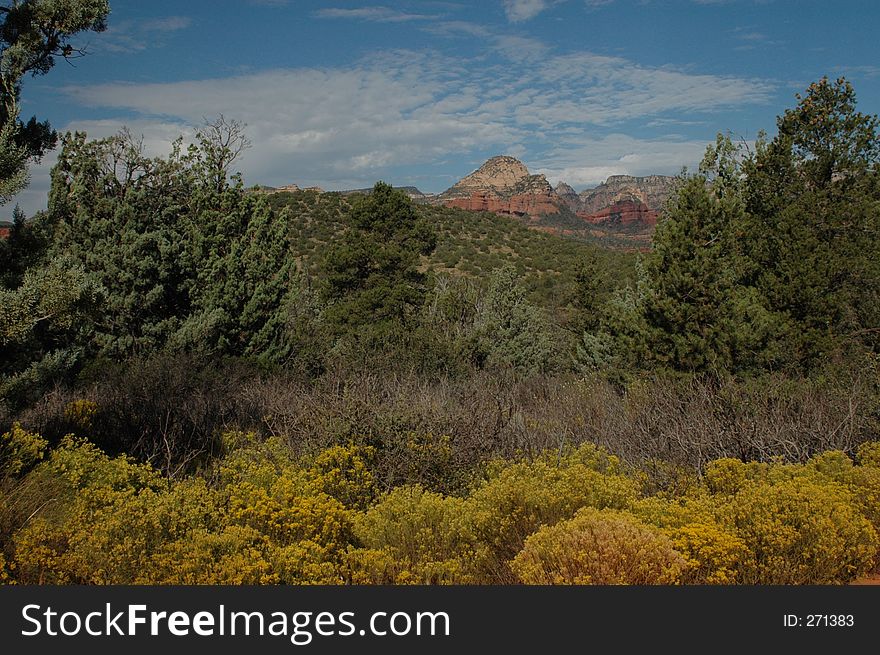 Arizona desert landscape with mountain background. Arizona desert landscape with mountain background