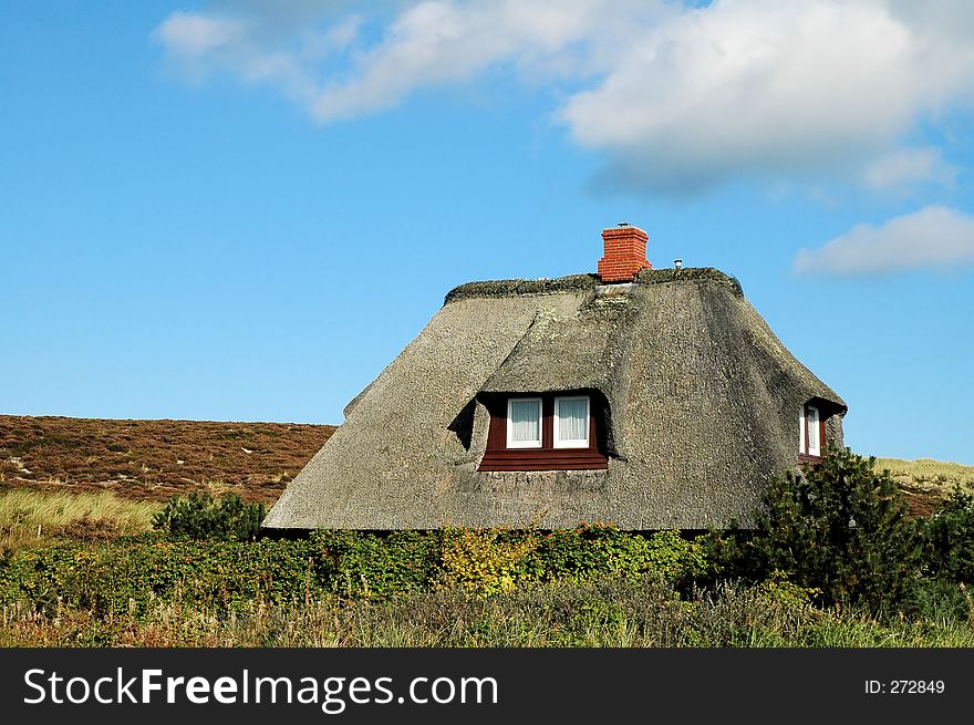 Roof Thatched House3
