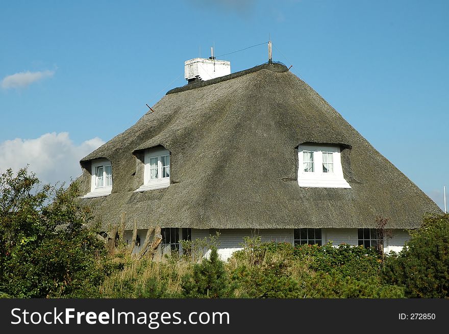 Roof thatched house4