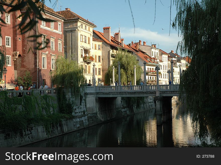 European houses along river with willow trees. European houses along river with willow trees