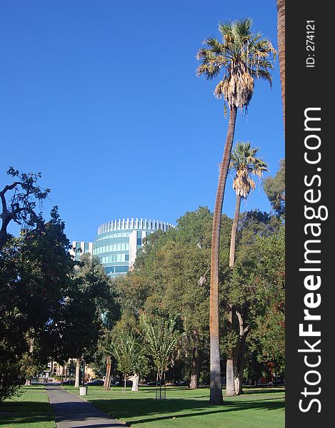 Modern office building next to a park fringed by some palm trees in the foreground. Modern office building next to a park fringed by some palm trees in the foreground.