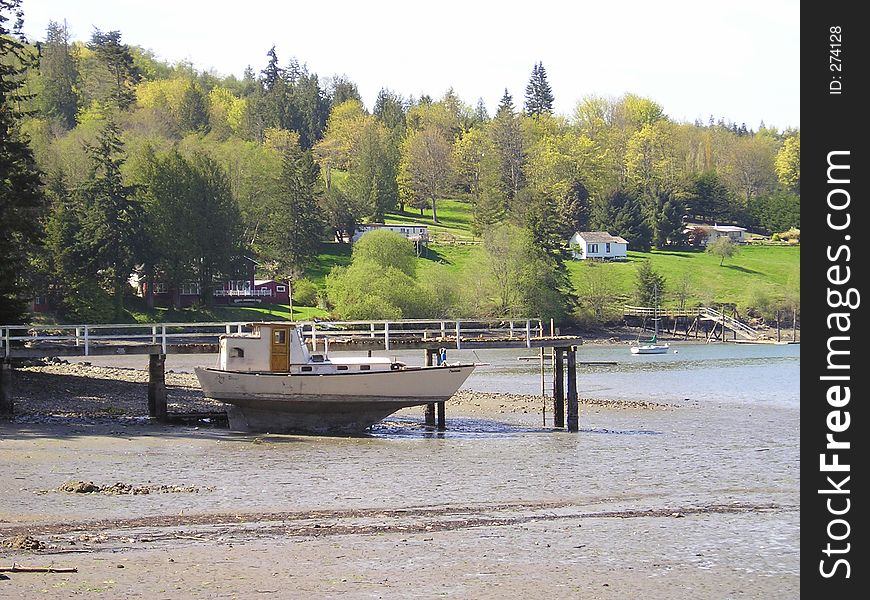 Low Tide