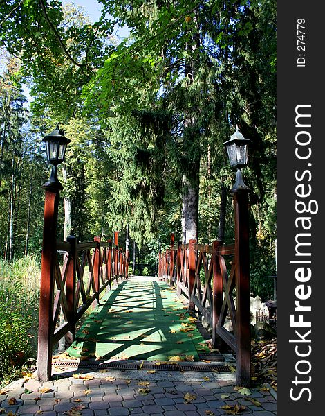 Bridge in the forest