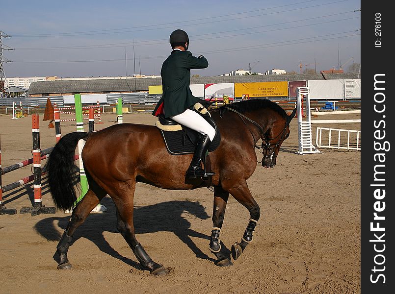 Russian horseriding championship. Concourt. Tyumen 2005. Russian horseriding championship. Concourt. Tyumen 2005.