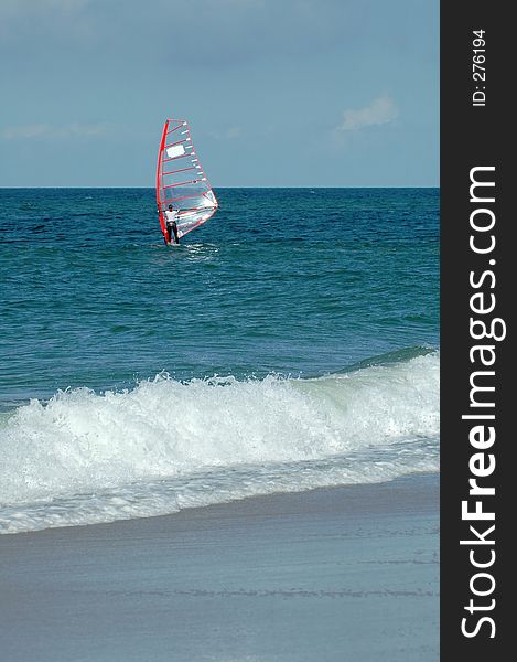 Windsurfer8